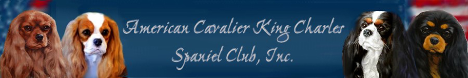 header logo 960