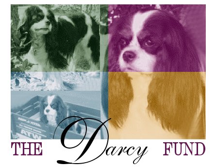 Darcy (Heart Fund) Donation $100